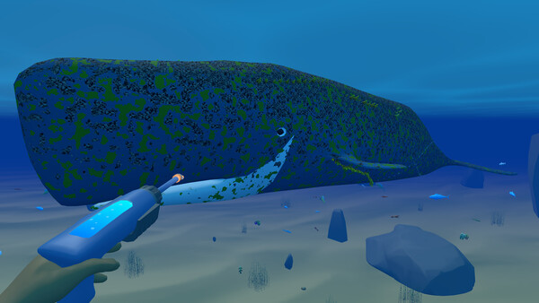 Bodian’s Bay Wash cheat table screenshot